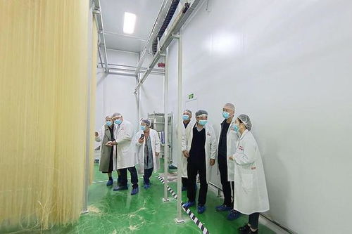 潢川欣然工藝品公司 以匠心傳承，打造民間文化教育與研學旅行新標桿
